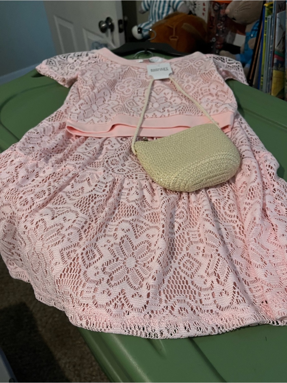 Badgley Mischka Girls Pink Lace Dress with Gold Purse